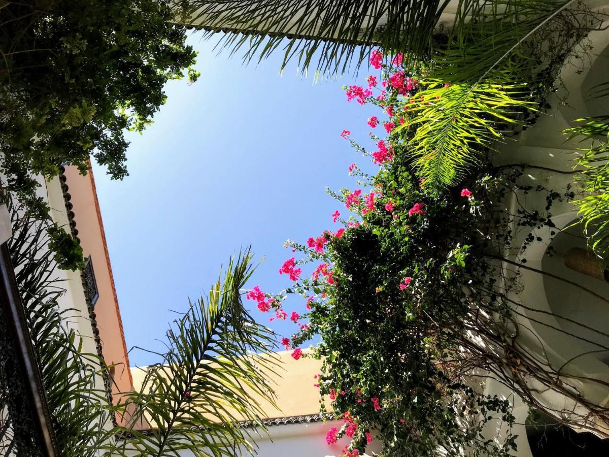 מרקש Riad Dar Zaman מראה חיצוני תמונה